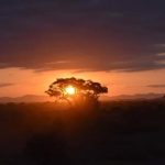 Sunset in africa pwild